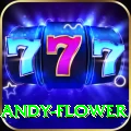andy flower Premium Plus v5.6.7