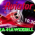 antigua hawksbill Plus Edition v3.0.4