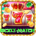 bangladesh cricket match Deluxe Pro v5.8.9
