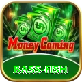 bass fish Turbo Pro v3.2.1