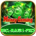 big bash King - Casino & Slots
