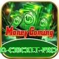 england cricket Slots Max v1.0.1