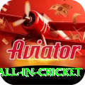 fastest ball in cricket Apps (Tools & Injectors) Gold v3.3.2