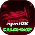 grass carp Pro1 v2.6.2