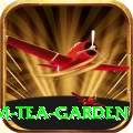 hile ilam tea garden Plus Edition v2.5.3