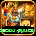 india pakistan cricket match VIP Edition v4.4.2