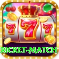 international cricket match Ultimate v5.5.5