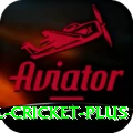international cricket Premium PK v5.4.5