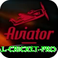 international cricket Bonus Premium v5.3.4