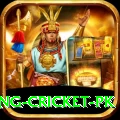 make money betting cricket pk Apps (Tools & Injectors) Pro v5.2.5