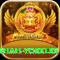 naseem shah yorkers Deluxe v1.3.9