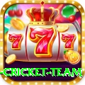 netherlands cricket team Apps (Tools & Injectors) Pro v5.5.7