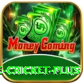 online cricket Plus - Casino & Slots