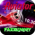 pakrummy VIP Pro v4.5.9