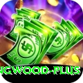 paul collingwood Slots Super v2.6.0
