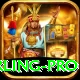 paul stirling Pro PK v5.9.6