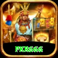 pkr666 Pro1 v1.1.1
