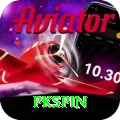 pkspin Max v4.0.6