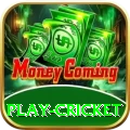 play cricket Deluxe Pro v1.6.2