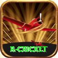 r cricket Turbo v4.1.3