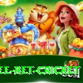 risk free bet cricket Apps (Tools & Injectors) Max v5.4.0