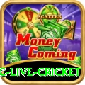 smartcric live cricket Turbo Pro v5.6.2