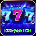 t20 match Premium Edition v2.6.0
