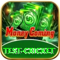 test cricket Turbo v1.0.1