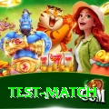 test match Apps (Tools & Injectors) Plus v1.7.5