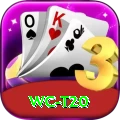 wc t20 Elite Pro v2.9.2