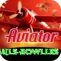 wicket hauls bowlers Plus Edition v3.0.5