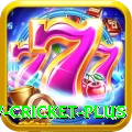 willow cricket - Slots Elite