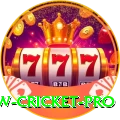 willow cricket Deluxe - Free Download
