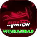 winbaobab Plus Pro vv5.4.5